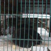 DSCF7239.JPG