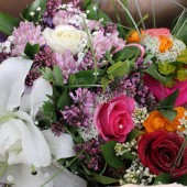IMG_1962.JPG