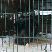 DSCF7238.JPG